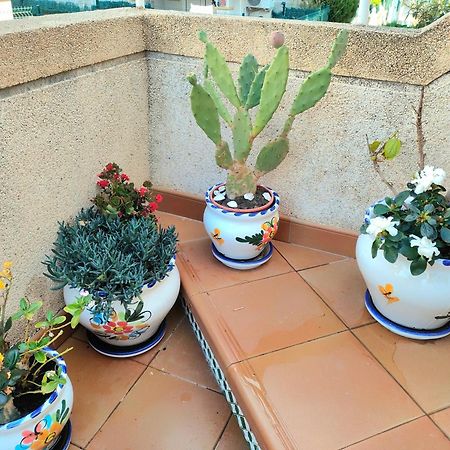 Ferienwohnung Casa De Buenos Dias Torrevieja Exterior foto