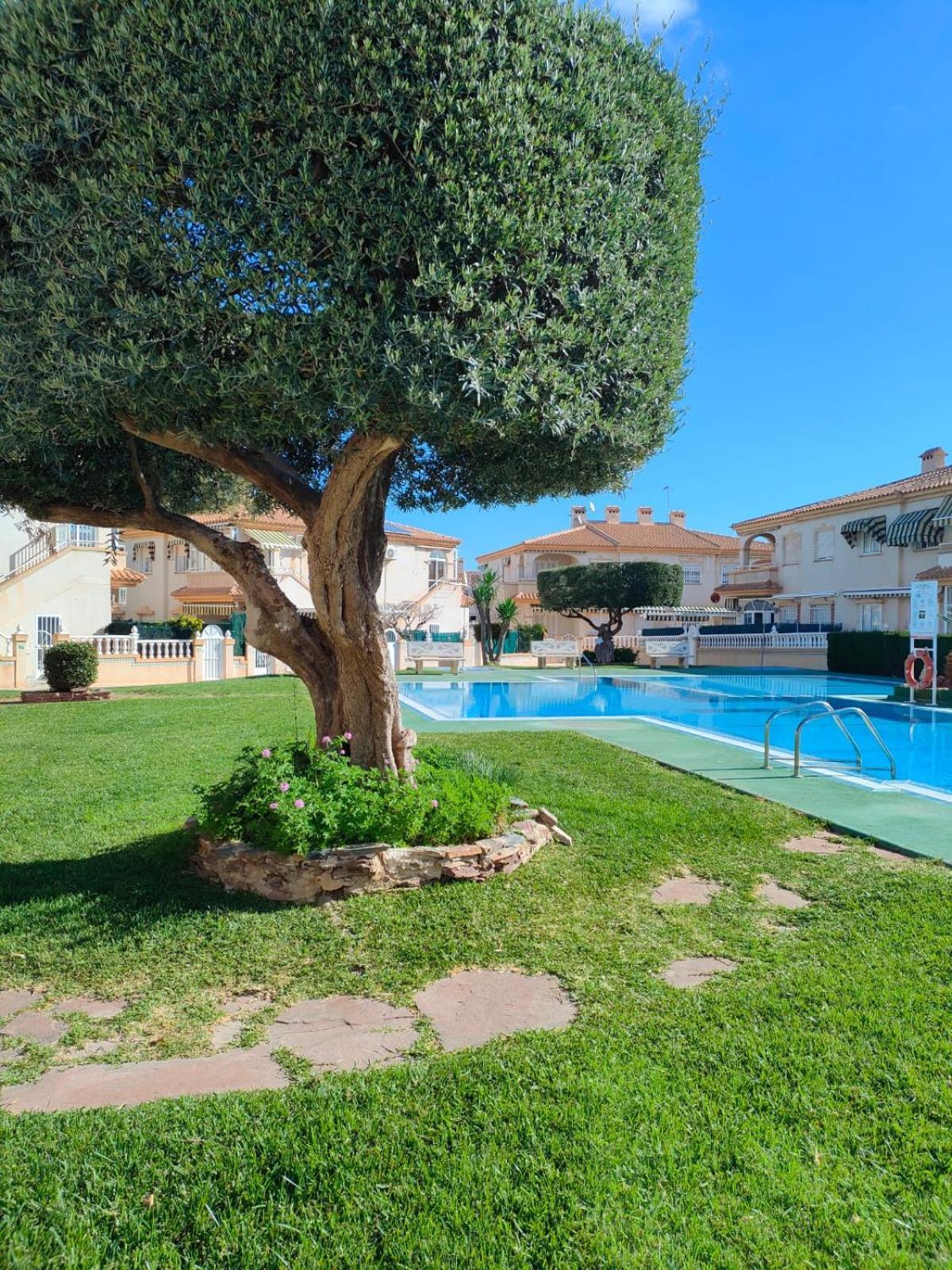 Ferienwohnung Casa De Buenos Dias Torrevieja Exterior foto